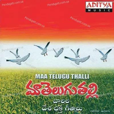 Desamunu Preminchumanna - Duggiraala album cover 