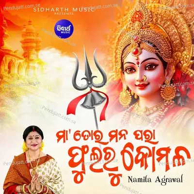 Maa Tora Mana Para Phularu Komala - Namita Agrawal album cover 