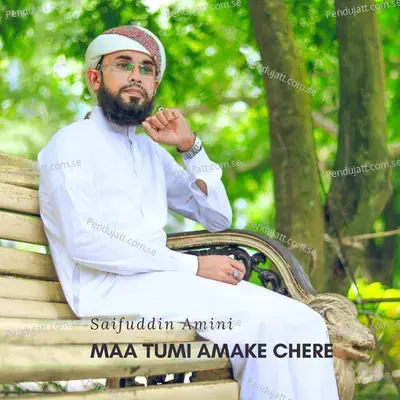 Maa Tumi Amake Chere - Saifuddin Amini album cover 