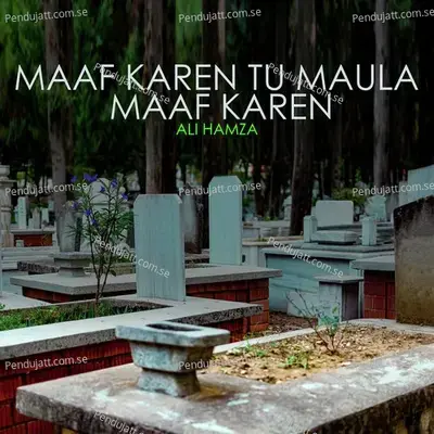 Maaf Karen Tu Maula Maaf Karen - Ali Hamza album cover 