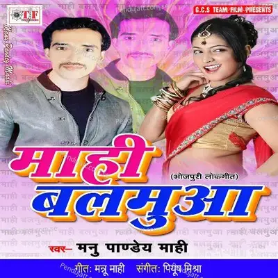 Up Bihar Ke - Mannu Pandey Mahi album cover 