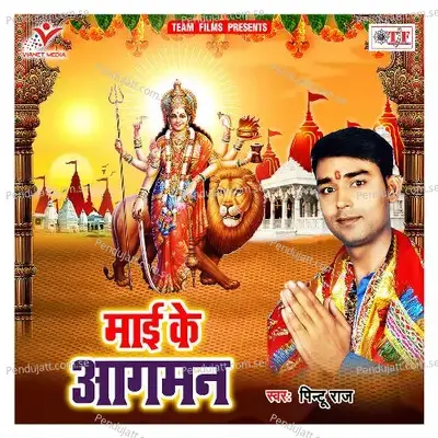 Aili Durga Bhawani - Pintu Raj album cover 