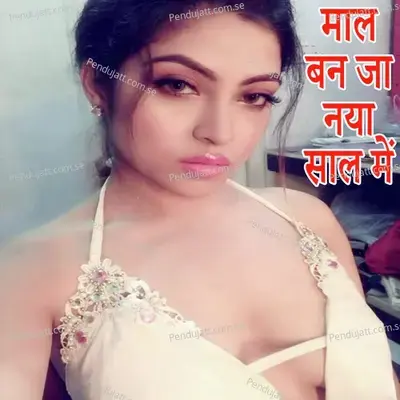 Maal Ban Ja Naya Saal Me - Bablu Mishra album cover 