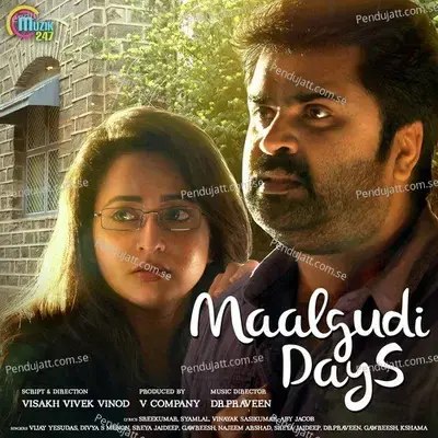 Maalgudi Days - Dr. Praveen cover album