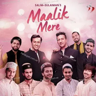 Maalik Mere - Salim-Sulaiman album cover 