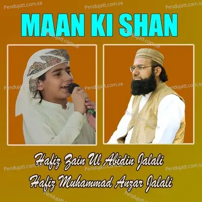 Khushboo K Liye Itr Na Gulzar Chuna Hai - Hafiz Zain Ul Abidin Jalali album cover 