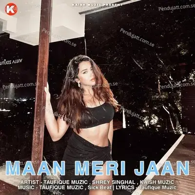 Maan Meri Jaan - Taufique Muzic album cover 