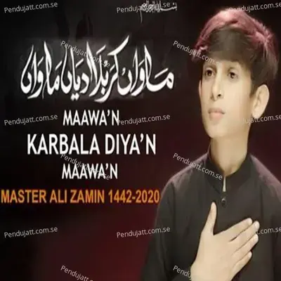 Maawan Karbala Diyan Maawan - Master Ali Zamin album cover 