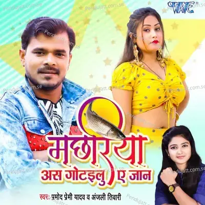 Machhariya As Gotailu Ae Jaan - Pramod Premi Yadav album cover 