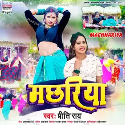 Machhariya - Preeti Rai album cover 