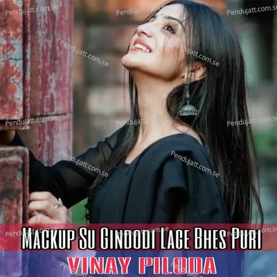 Mackup Su Gindodi Lage Bhes Puri - Vinay Piloda album cover 