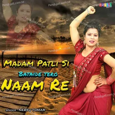 Madam Patli Si Bataide Tero  Naam Re - Neetu Tomar album cover 