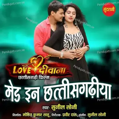Made In Chhattisgarhiya - Sunil Soni album cover 