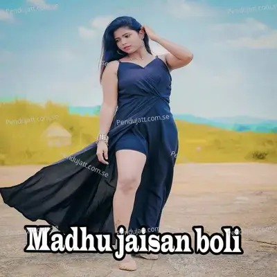 Madhu Jaisan Boli - Robin Das album cover 