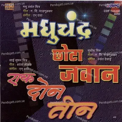 Jejuri Punyakshetra Part 2 - Vasant Desai album cover 