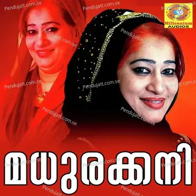 Aalam Adankal - Nisa album cover 