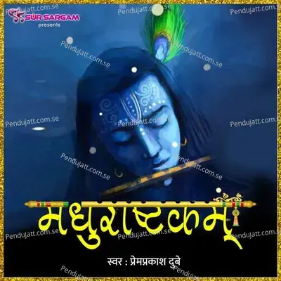 Madhurastakam - Prem Prakash Dubey album cover 