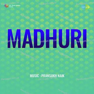 Sarita Sugandh Shobhe Basant - Vinayak Rao Patwardhan album cover 