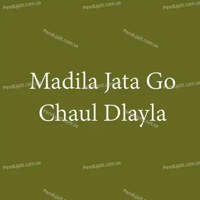 Madila Jata Go Chaul Dlayla - Parmesh Mali album cover 