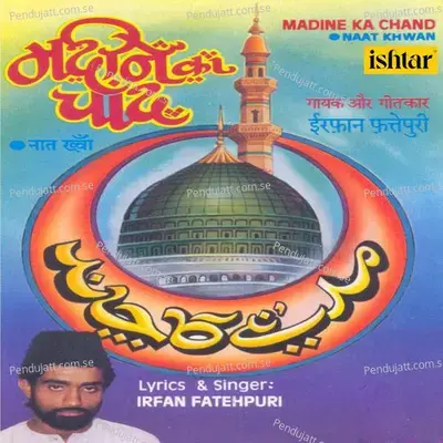 Koi Humsar Na Huva - Mohammad Tufail Niazi album cover 