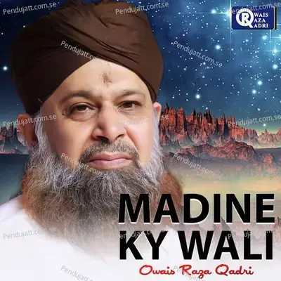 Qalb Ko Jis Ki Rooyat Ki Hai Arzu - Owais Raza Qadri album cover 