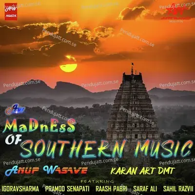Madness Of Southern Music - Anup Wasave cover album