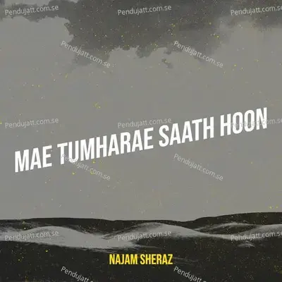 Mae Tumharae Saath Hoon - Najam Sheraz album cover 