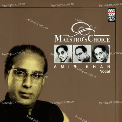 Raga Des - Ustad Shujaat Hussain Khan album cover 