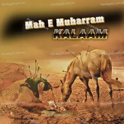 Karbala Me Sar Kataya Hain Ali Ke Lal Ne - Suhail Raza Jafrabadi album cover 