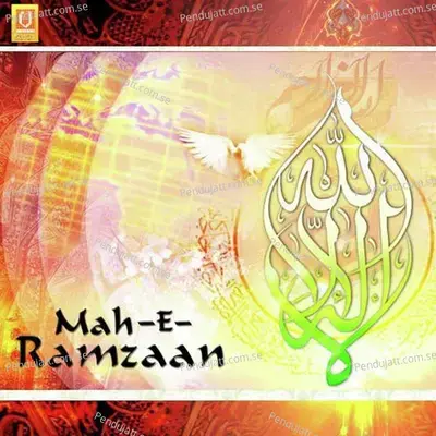 Vaje Allah Wali Taar - Alhaaj Owais Raza Qadri album cover 