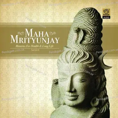 Soorya Gayatri And Kavacham - Vamanan album cover 