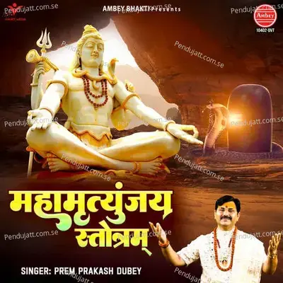 Maha Mrityunjaya Stotram - Prem Prakash Dubey album cover 