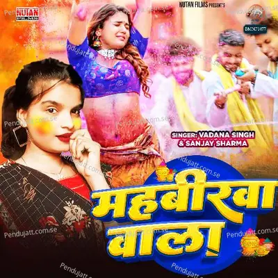 Mahabirwa Wala - Vadana Singh album cover 
