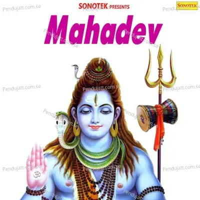 Mahadev - Kailash Ji Max cover album