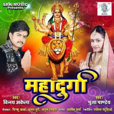 Naagin Wala Dance Karenge Maiya Ke Jagrat Mein - Vinay Akela album cover 