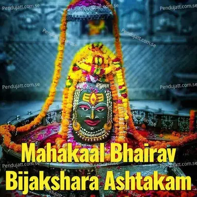 Mahakaal Bhairav Bijakshara Ashtakam - Veeramani Kannan album cover 