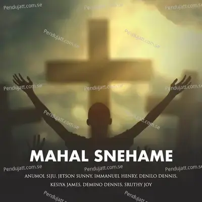 Mahal Snehame - Don Valiyavelicham album cover 