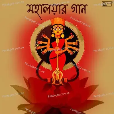 Namo Debyoi - Birendrakrishna Bhadra album cover 