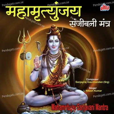 Maha Mutujay Sanjavanimantra - L. Nitesh Kumar album cover 