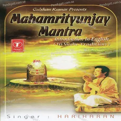 Swasti Vaachan, Viniyog, Sankalp, Nyaas, Dhyaan, Mahamrityunjay Mantra - Shekhar Sen album cover 