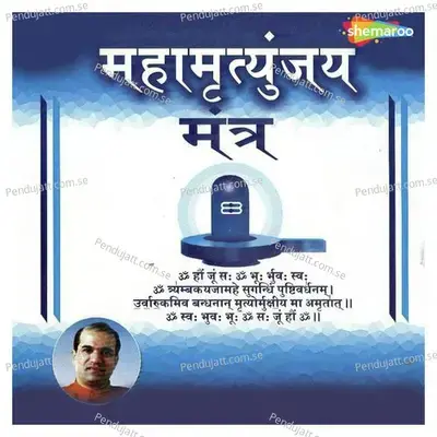 Mahamrityunjay Mantra Jaap - Vilas-Suresh