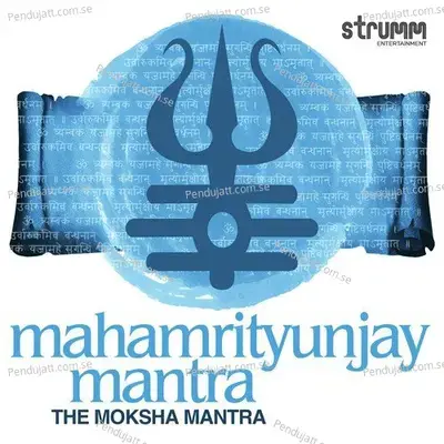 Om Namah Shivay - Rattan Mohan Sharma album cover 