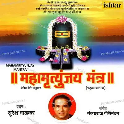 Om Namah Shivay - Dhun - Sanjayraj Gaurinandan (SRG) album cover 