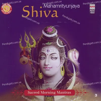 Shri Ravankrit Shiv Tandav Stotra - Shruti Sadolikar album cover 