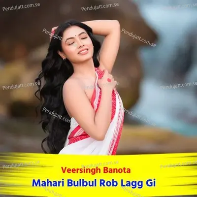 Mahari Bulbul Rob Lagg Gi - Veersingh Banota album cover 