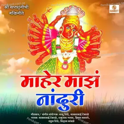 Nanduri Bayacha Thana - Vittal Kamble album cover 