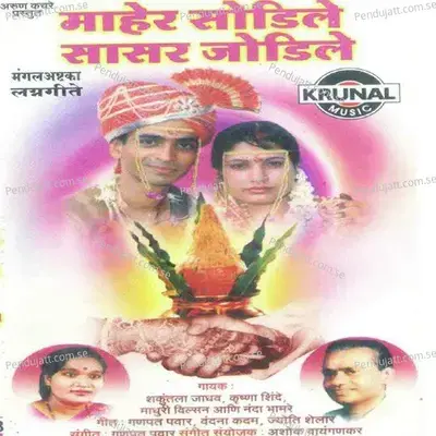 Bramhan Aale Mandpat - Krushna Shinde album cover 