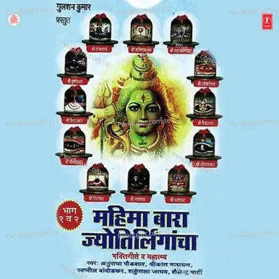 Mahima Baara Jyotirlingancha Vol-2 - Shailendra Bhartti
