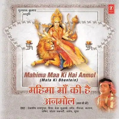 Tu Dhyan Maiya Ka - Rabin album cover 