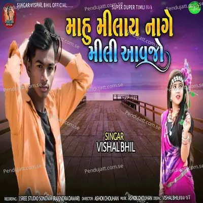 Mahu Milay Nage Mili Aavjo - Vishal Bhil album cover 